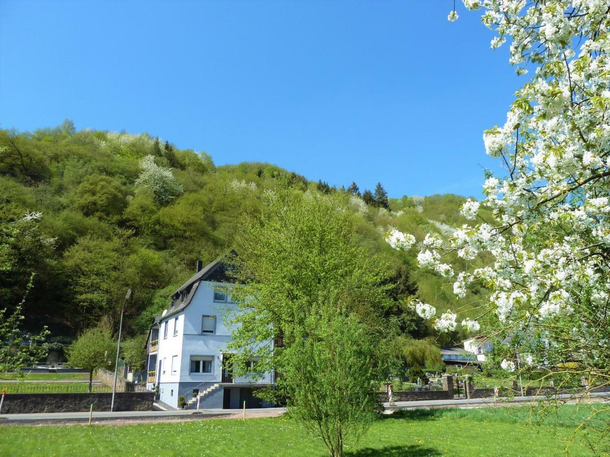 Haus Moselwiese Alf Eksteriør billede